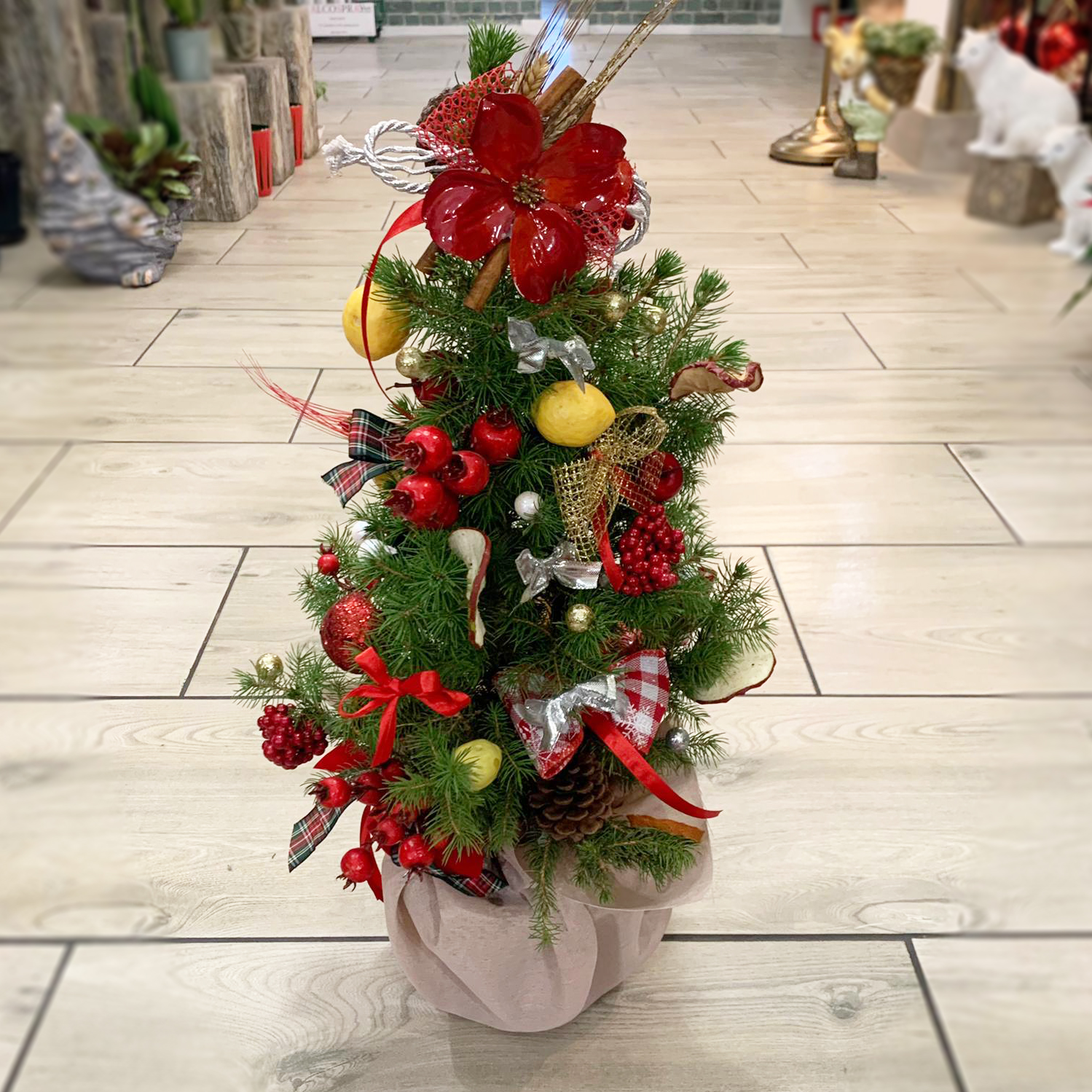 Albero di Natale vero allestito h 40/50 cm – FLORA  Agrivivaio a Genova  Borzoli e vendita online di fiori e piante