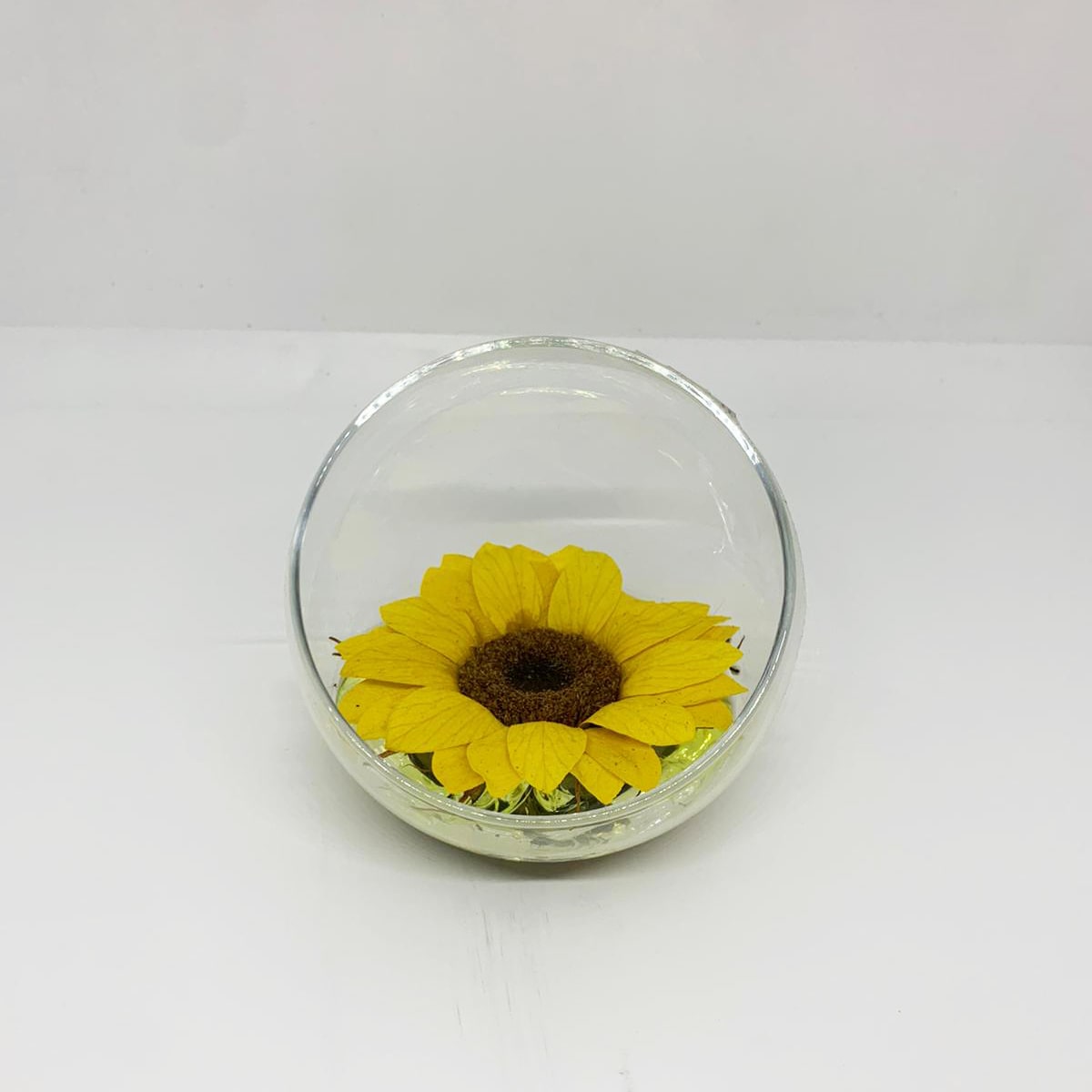 Girasole stabilizzato mezza sfera piccola – FLORA  Agrivivaio a Genova  Borzoli e vendita online di fiori e piante